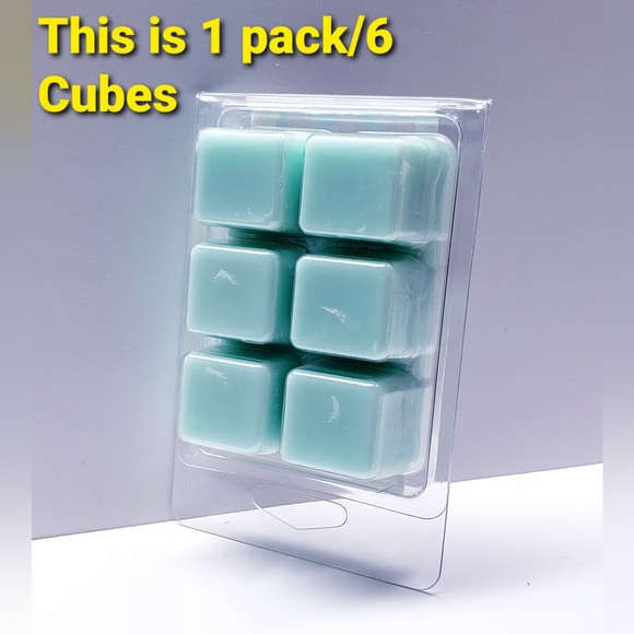 COASTAL WATERMELON -Bath & Body Works Candle Wax Melts- $8 per pack - Picture 5 of 8